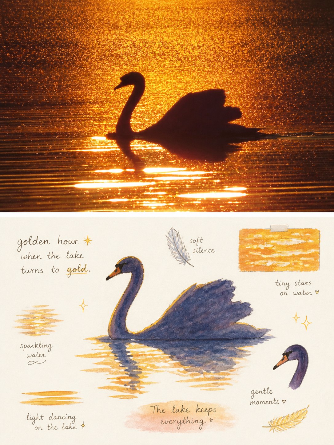 Journal spot illustrations